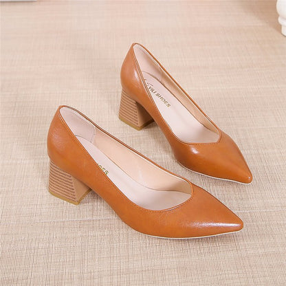 Chic Pointed Toe Heels by Elizabeth Ainsley